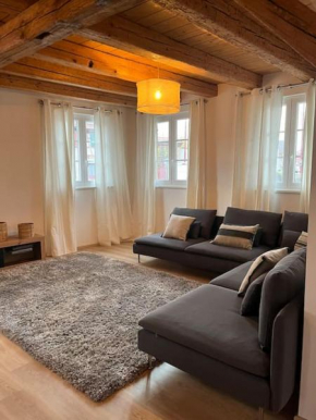 Belle maison alsacienne Entzheim